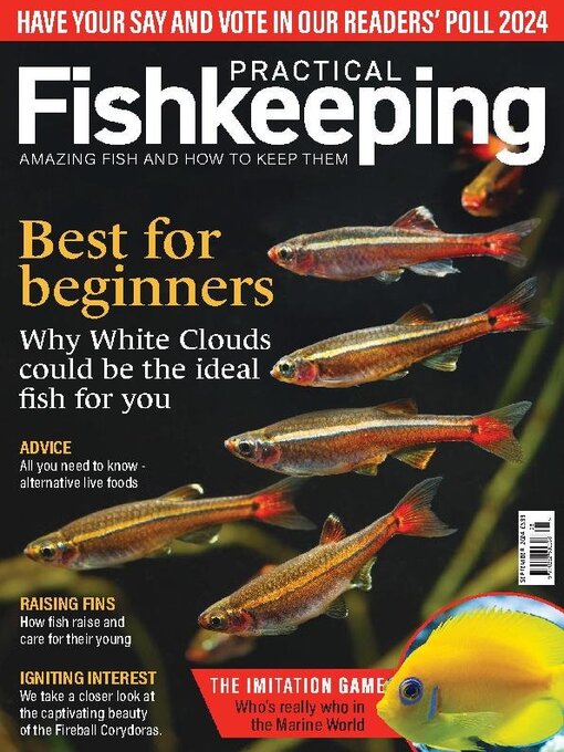 Title details for Practical Fishkeeping by Warners Group Publications Plc - Available